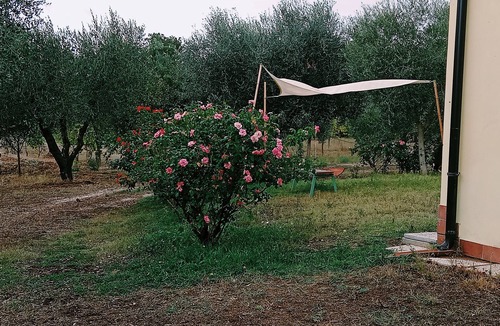Magliano Sabina Other | Agricola Moderna byFDR