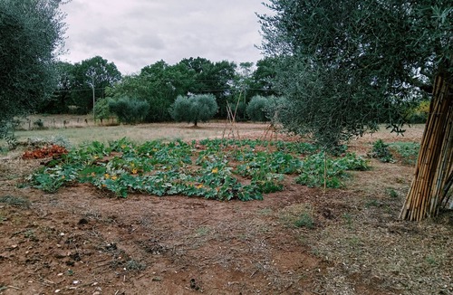 Magliano Sabina Other | Agricola Moderna byFDR