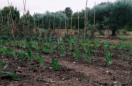 Magliano Sabina Other | Agricola Moderna byFDR