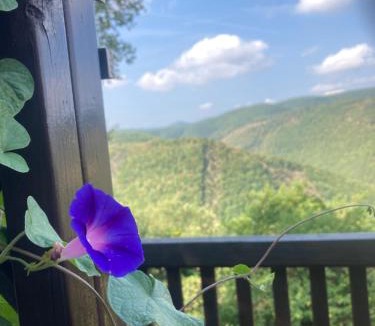Serra San Quirico House | Agriturismo Becerca Vegan