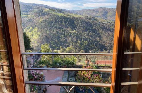 Greve in Chianti Apartment | Agriturismo La casina di Castellinuzza e Piuca