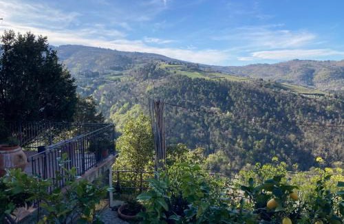Greve in Chianti Apartment | Agriturismo La casina di Castellinuzza e Piuca