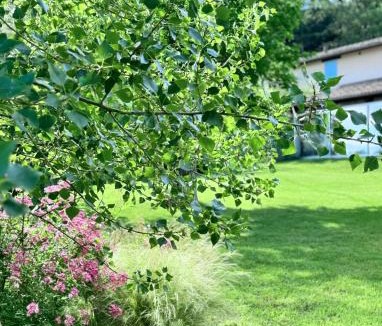 Fossombrone House | Agriturismo "Le Cannelle" spa & day wellness