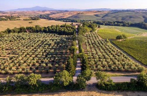 Trequanda Bed & Breakfast | Agriturismo Pometti - Fattoria La Selva