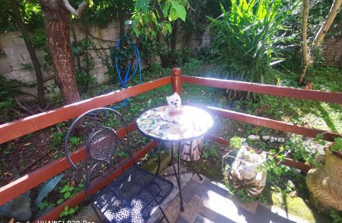 Rocca di Papa Apartment | Alloggio turistico Id 14737 La mansarda Free Parking, wi-fi