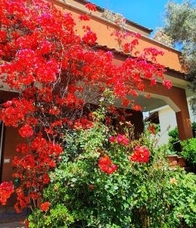 Zona XXXII Acilia Nord House | Ampie camere in villa in zona verde e tranquilla