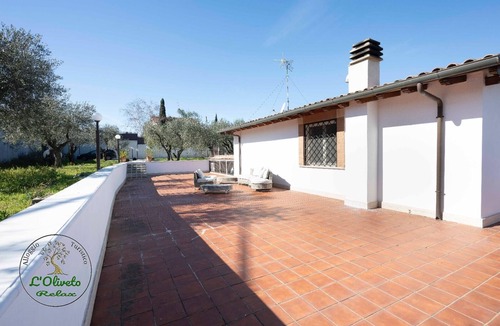 Borghesiana Apartment | An Enchanting and Discreet Place nestled in an Olive Grove just a stone's throw from Rome