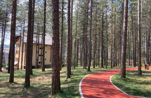 Zlatibor Apartment | Apartman Šumski raj
