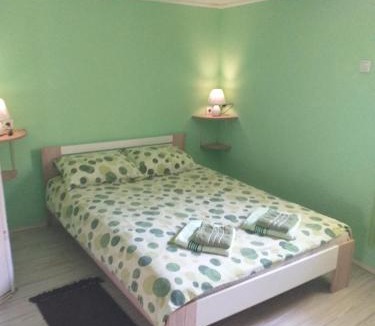 Vrdnik Apartment | Apartman Andjela 1