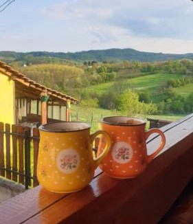 Sumadija Apartment | Apartman Nana