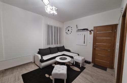Zlatibor Apartment | Apartman Ogi