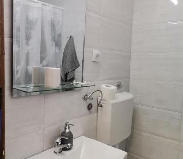 Pancevo Apartment | Apartman petrov 1
