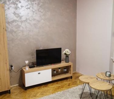 Pancevo Apartment | Apartman petrov 1