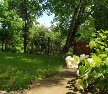 Soko Banja Apartment | Apartmani Smiljanic Sokobanja