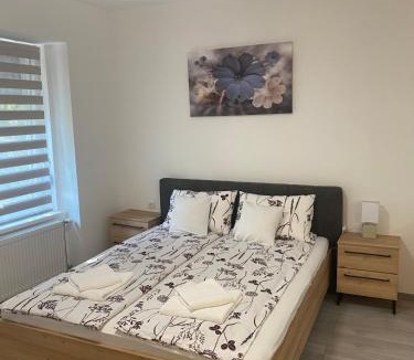 Vrsac Apartment | Apartmani Srce Vršca