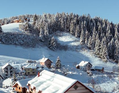 Ciganska Mahala Apartment | Apartmani Stefan Zlatar