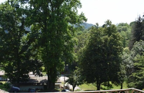 Monteggio Apartment | Apartment App. Bosco,Ticino Ticket Inklusive! in Fornasette - 4 persons, 2 bedrooms