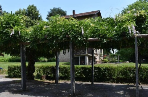 Monteggio Apartment | Apartment App. Bosco,Ticino Ticket Inklusive! in Fornasette - 4 persons, 2 bedrooms