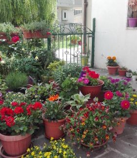 Castelsaraceno Bed & Breakfast | B&B A casa di Carla