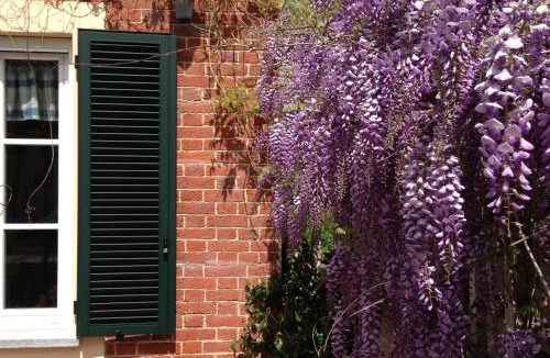 San Damiano dʼAsti Bed & Breakfast | B&B Cascina Martinetta