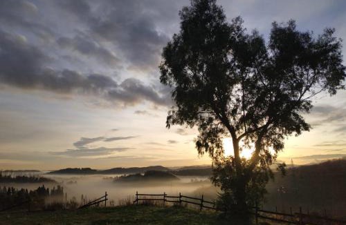Collesalvetti Bed & Breakfast | B & B CUORE TOSCANO