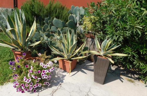 Povegliano Veronese Bed & Breakfast | B&B Le Stanze di Amelie
