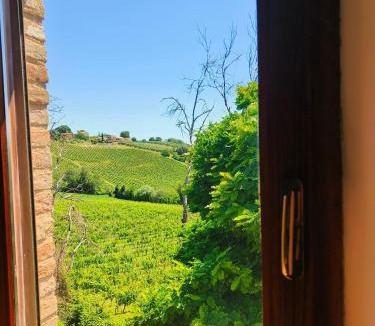 Castelplanio Bed & Breakfast | B&B Nel Vigneto