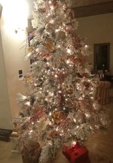 Carpi Bed & Breakfast | B&B Villa delle Palme