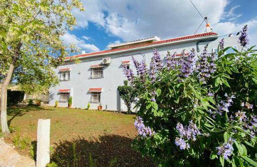 Tizguite Bed & Breakfast | Bed and breakfast ∙ 3 guests