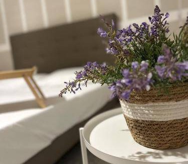 Isola del Borgo Antico Bed & Breakfast | Bed and breakfast ∙ 4 guests