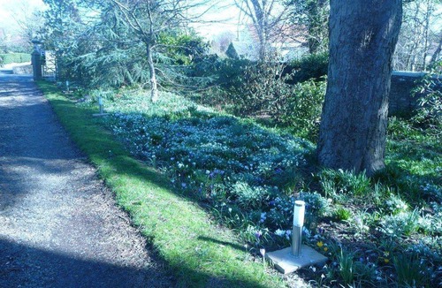 Colinton Bed & Breakfast | Bed and breakfast ∙ 3 guests