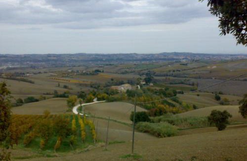 Staffolo Bed & Breakfast | Bed and Breakfast La casa delle rondini