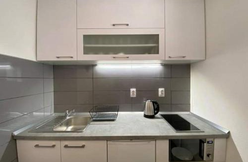 Brzece Apartment | Bele staze Kopaonik z