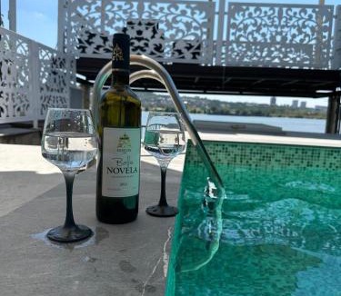 Palilula Villa | Belgrade River House