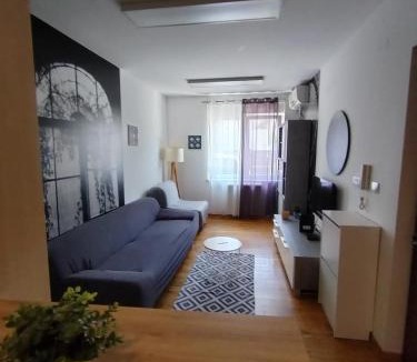 Zemun Apartment | Benvenuti HONEY