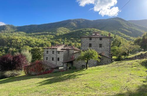 Caprese Michelangelo House | Bio Agriturismo Il Vigno