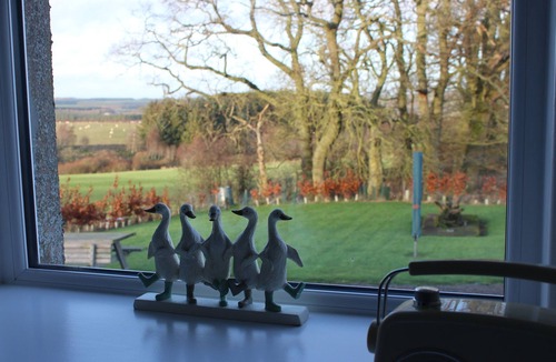 Jedburgh Cottage | BIRDS NEST, family friendly, character holiday cottage in Jedburgh