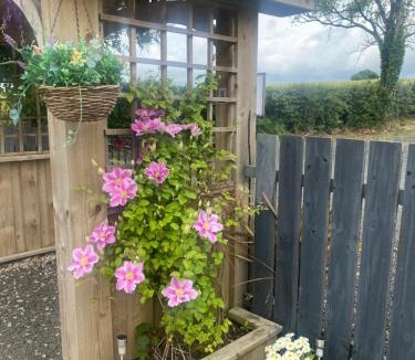 Ballycastle Other | Bonnyview Glamping