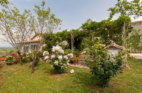 Soriano nel Cimino Apartment | Borghetto Sant’Angelo