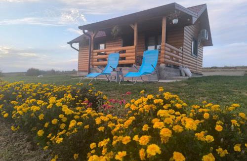 Mladenovac House | Brvnara Staničić