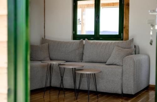 Mladenovac House | Brvnara Staničić