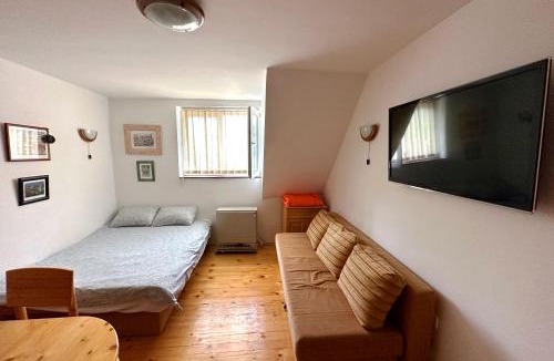 Kopaonik Apartment | Brzeće - Bele staze Nikola