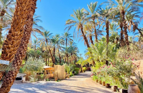 Amezrou Other | Camping auberge palmeraie d'amezrou
