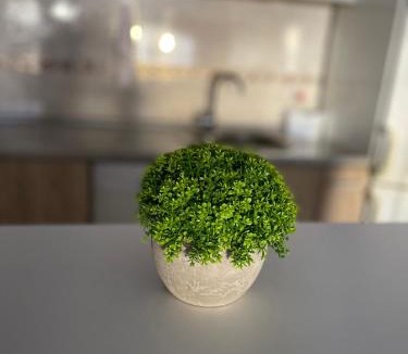 Bistrica Apartment | Canzona