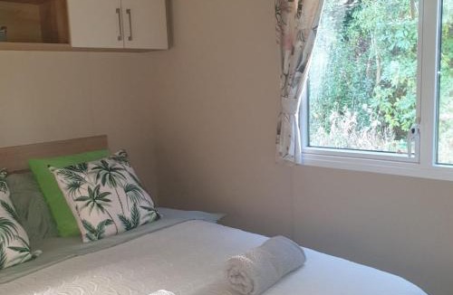 Prestonpans Resort | Caravan under the tree