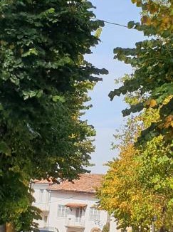 Belvedere Langhe House | Casa Di Collina Nelle Langhe Typical country house