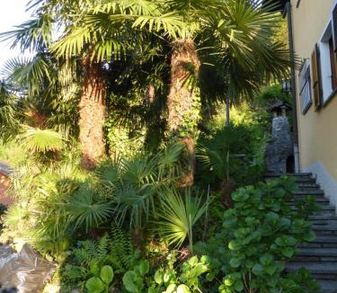 Magadino Apartment | Casa Petra 1 1/2 Zi, Orgnana 83