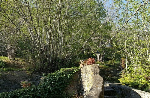 Ortonovo Apartment | Casale Le Macine, history and charm in ancient oil mill