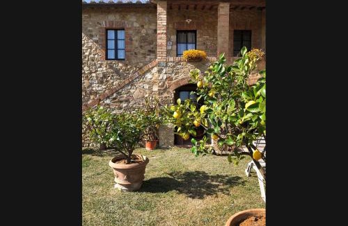 Quercegrossa House | Casalgallo
