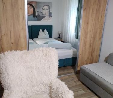 Novi Sad Apartment | Centar Novi Sad-Apartman No 1 PARKING ON REQUEST